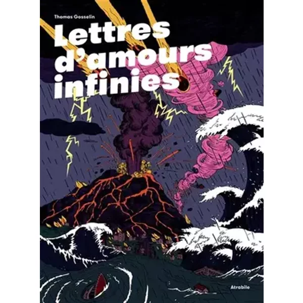 Lettres d'amour infinies - Thomas Gosselin