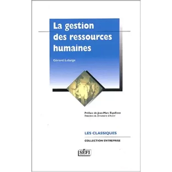Gestion Des Ressources Humaines : Nouveaux Enjeux, Nouveaux Outils - GéRard Lelarge, Jean-Marc Espalioux-image