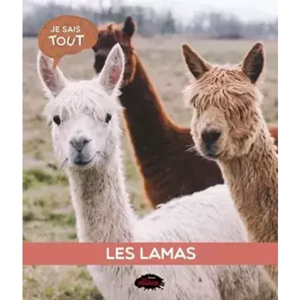 Les lamas - Naïla Aberkan