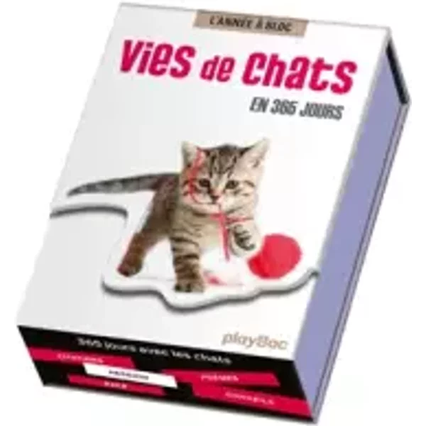 Calendrier Vies De Chats En 365 Jours - L'annéE à Bloc - Play Bac-image