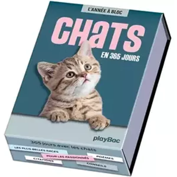 Calendrier Chats en 365 jours - L'Année à Bloc - Collectif