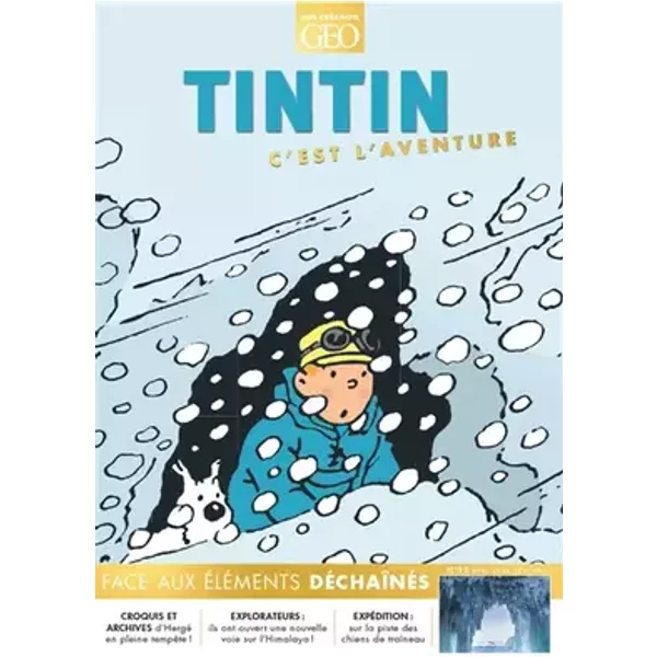 Tintin c'est l'aventure n°22 - Face aux élèments déchaînés: Face aux éléments - Collectif