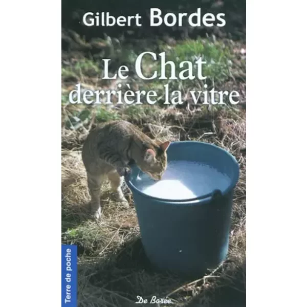 Le Chat DerrièRe La Vitre-image