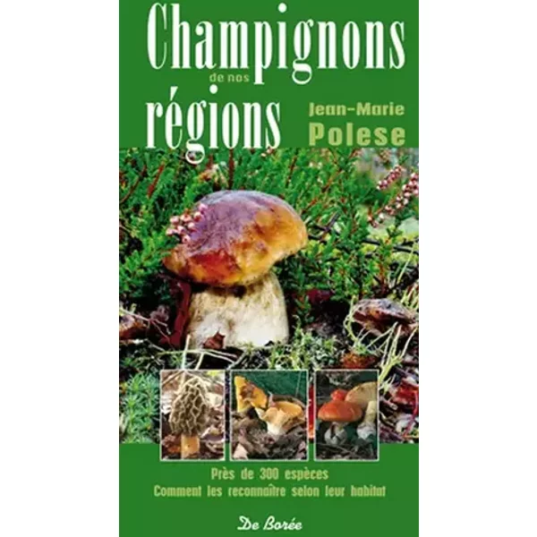 CHAMPIGNONS DE NOS REGIONS - JM POLESE
