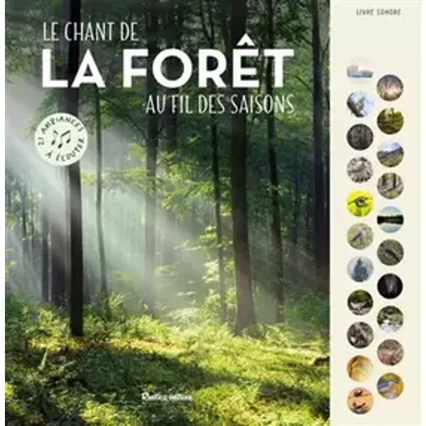 Le chant de la forêt au fil des saisons: 21 ambiances à écouter