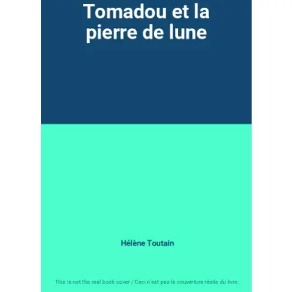 Tomadou Et La Pierre De Lune - HéLèNe Toutain-image