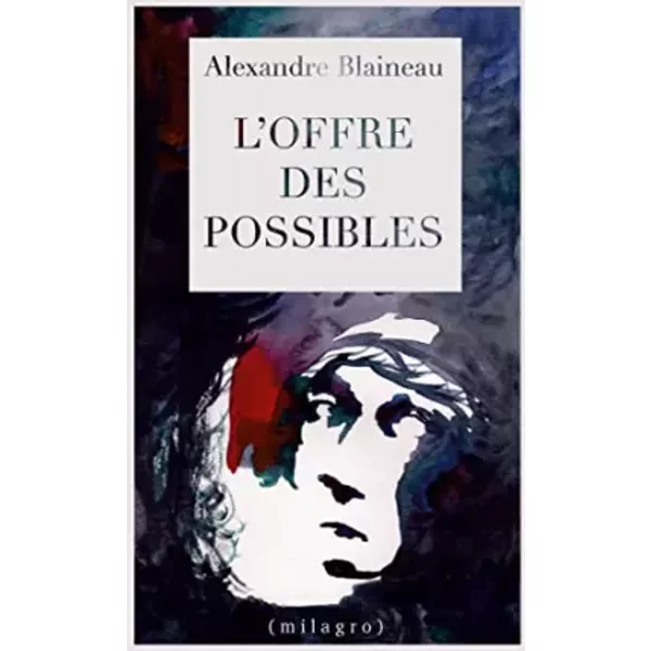 L'offre Des Possibles - Alexandre Blaineau-image