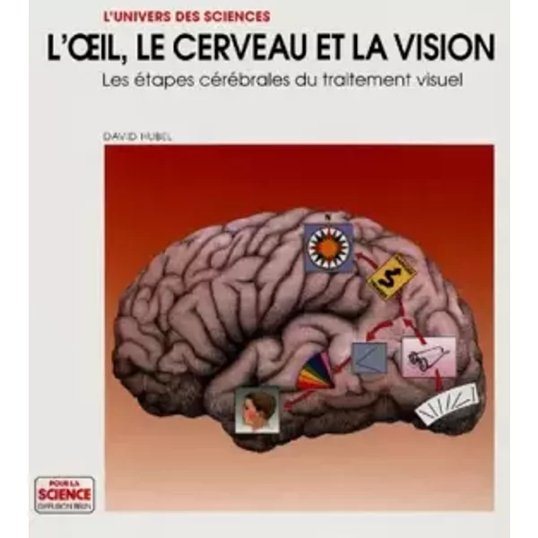L'OEIL, LE CERVEAU ET LA VISION. Les étapes cérébrales du traitement visuel - David Hubel