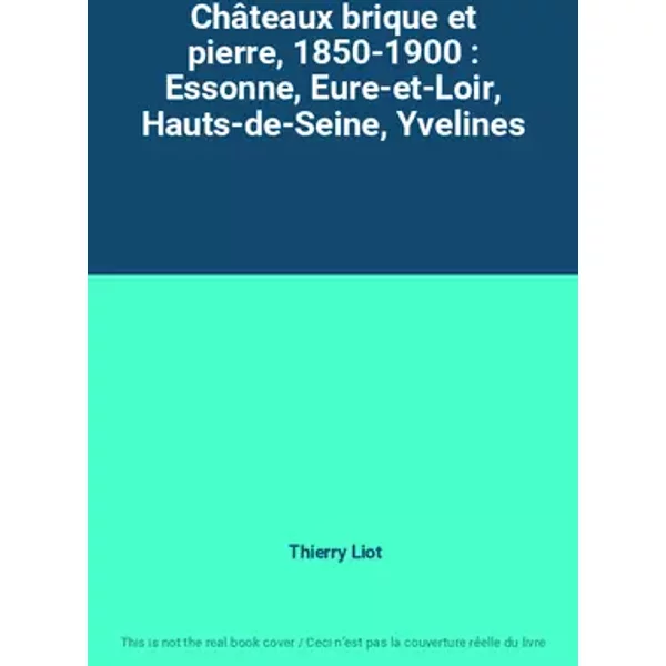 Châteaux brique et pierre, 1850-1900 : Essonne, Eure-et-Loir, Hauts-de-Seine, Yvelines - Thierry Liot