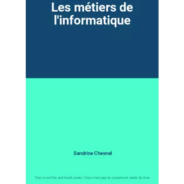Les MéTiers De L'informatique - Sandrine Chesnel-image