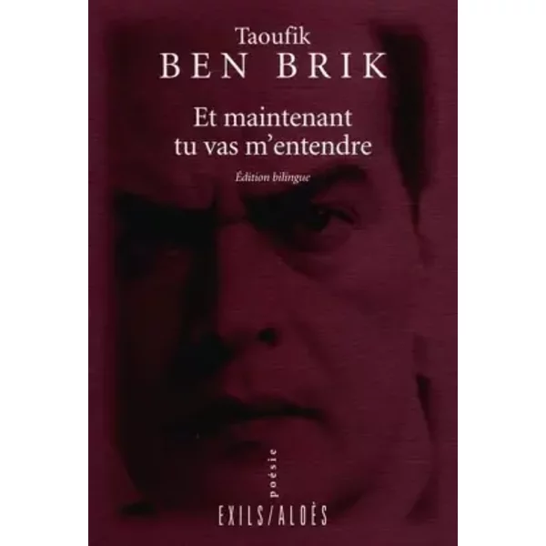 Et maintenant tu vas m'entendre - Ben Brik