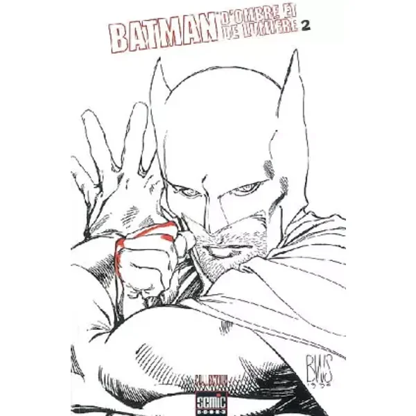 Batman. D'Ombre Et De Lumiere, Tome 2 - Collectif