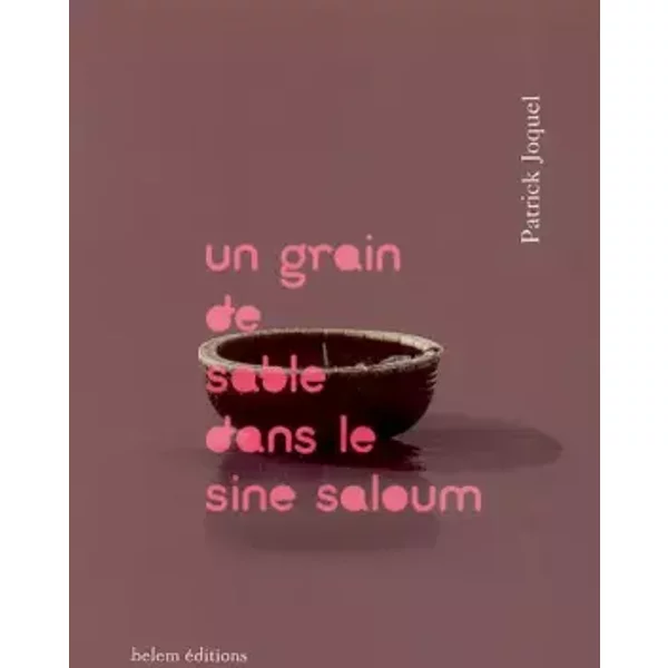 Un Grain De Sable Dans Le Sine Saloum - Patrick Joquel-image
