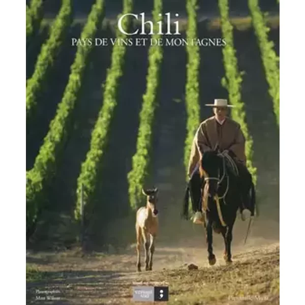 Chili, pays de vins et de montagnes - Papianille Mura