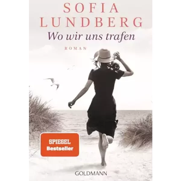 Wo wir uns trafen: Roman - von der Autorin des Bestsellers ‚Das rote Adressbuch‘ - Sofia Lundberg