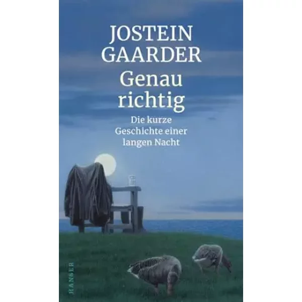 Genau Richtig: Die Kurze Geschichte Einer Langen Nacht - Jostein Gaarder-image