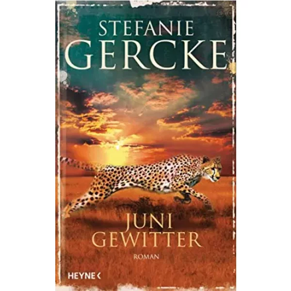 Junigewitter: Roman - Stefanie Gercke-image