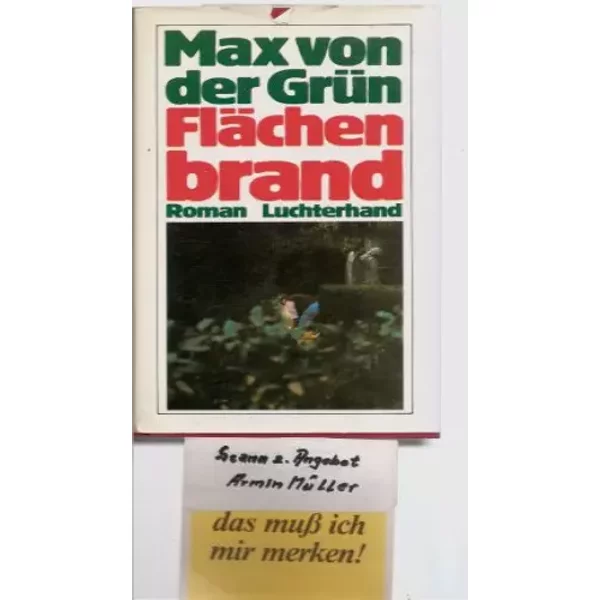 FläChenbrand. Roman - Max Von Der GrüN-image
