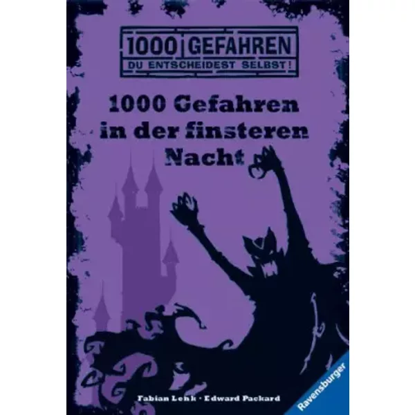 1000 Gefahren In Der Finsteren Nacht - Fabian Lenk, Edward Packard-image