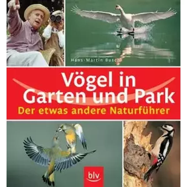 Vögel in Garten und Park - Hans-Martin Busch