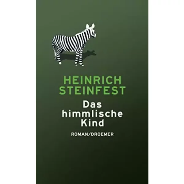 Das Himmlische Kind: Roman - Heinrich Steinfest-image