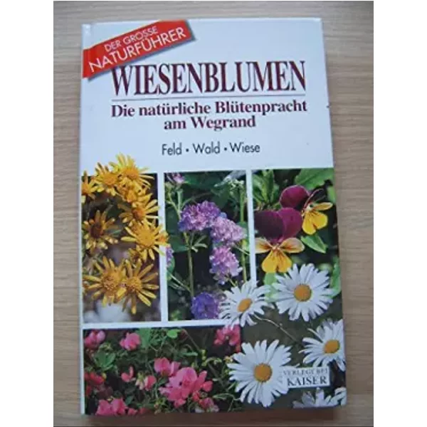 Blumen Am Wegrand: In Feld, Wald Und Wiese - Maria T Beffa-image