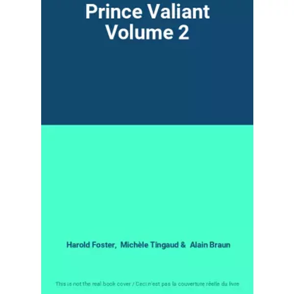 Prince Valiant Volume 2 - Harold Foster, Michèle Tingaud, Alain Braun