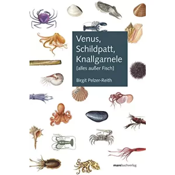 Venus, Schildpatt, Knallgarnele: (alles außer Fisch) - Birgit Pelzer- Reith, Birgit Pelzer-Reith