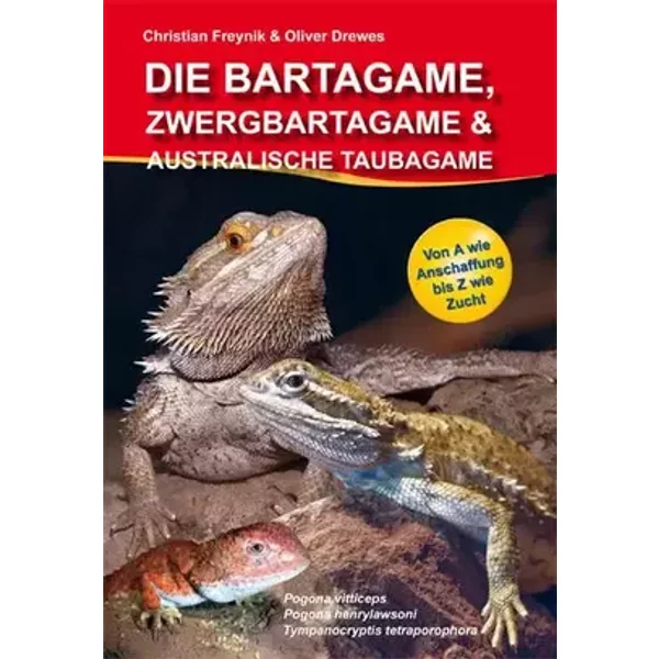 Die Bartagame, Zwergbartagame & Australische Taubagame: Pogona henrylawsoni - Freynik Christian, Drewes Oliver