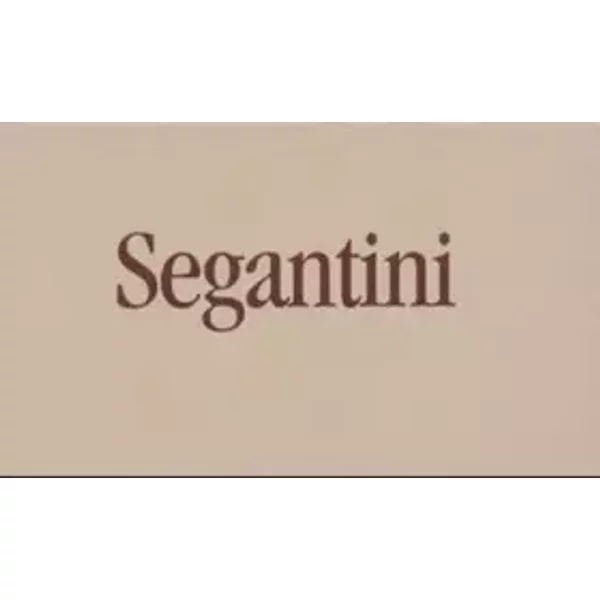 Segantini. Bildband: Bildband zum 100. Todestag von Giovanni Segantini - Beat Stutzer, Gioconda Leykauf-Segantini