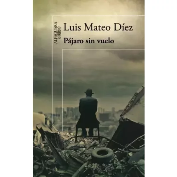 Pájaro sin vuelo - Luis Mateo Díez