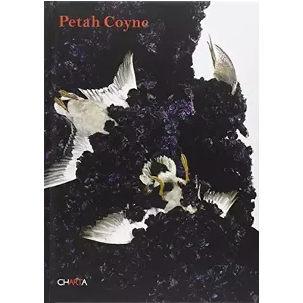 Peath Coyne. Vermilion Fog. Catalogo della mostra (New York, 24 ottobre-6 dicembre 2008). Ediz. illustrata - Ann Llyod