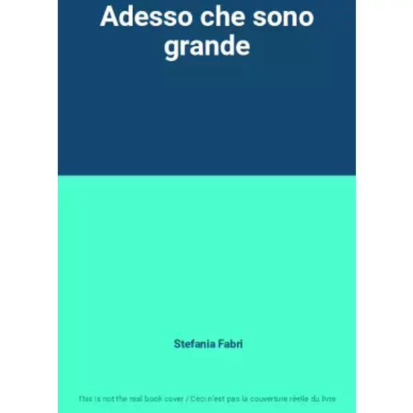 Adesso che sono grande - Stefania Fabri