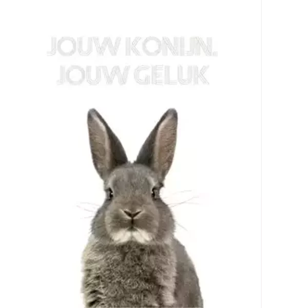 Jouw konijn, jouw geluk - Vianne Scharloo