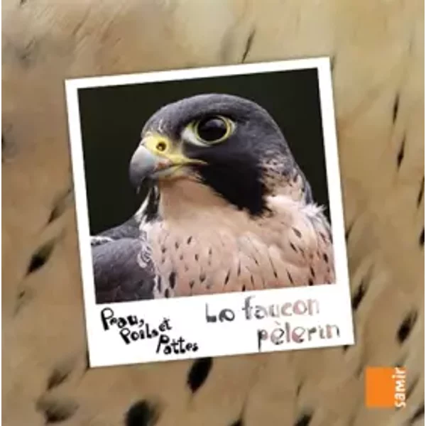 Le faucon pèlerin - Marwan El-Ahdab