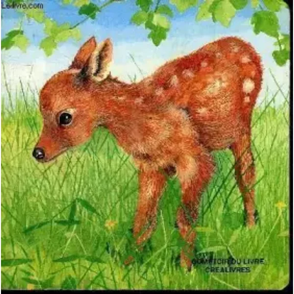Livre SUR LES Animaux - Collectif-image