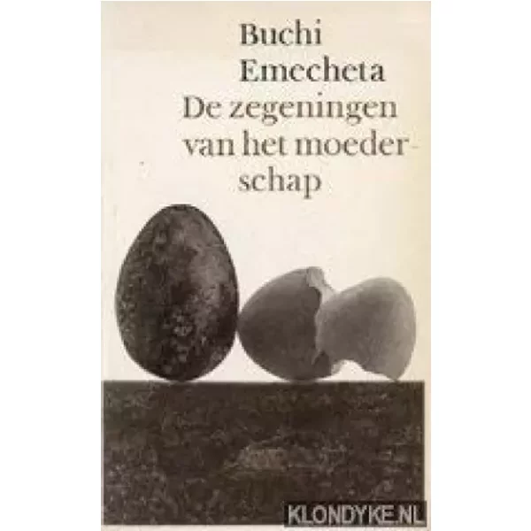 De zegeningen van het moederschap. Roman uit Nigeria