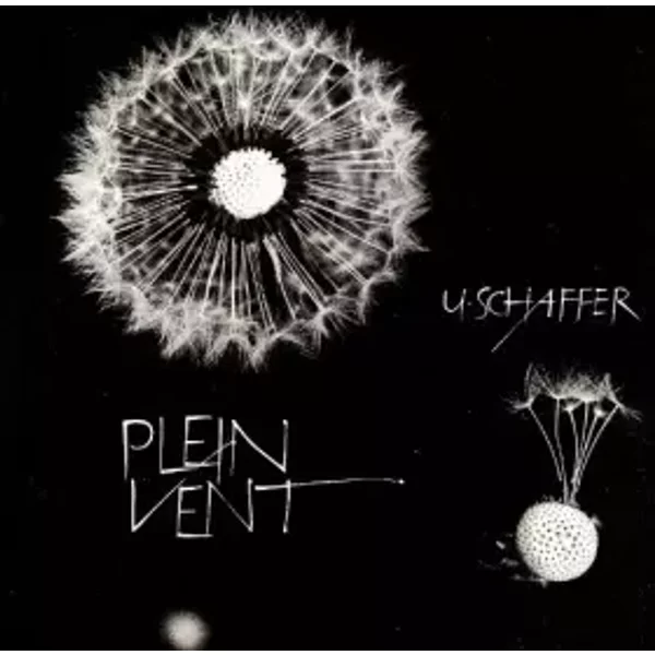 Plein vent Adaptation d'Alain Normand - Schaffer Ulrich