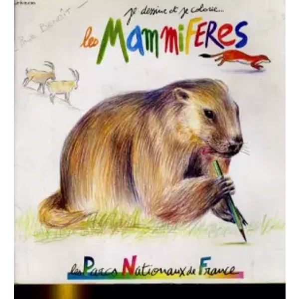Je Dessine Et Je Colorie... Les Mammiferes - Collectif-image