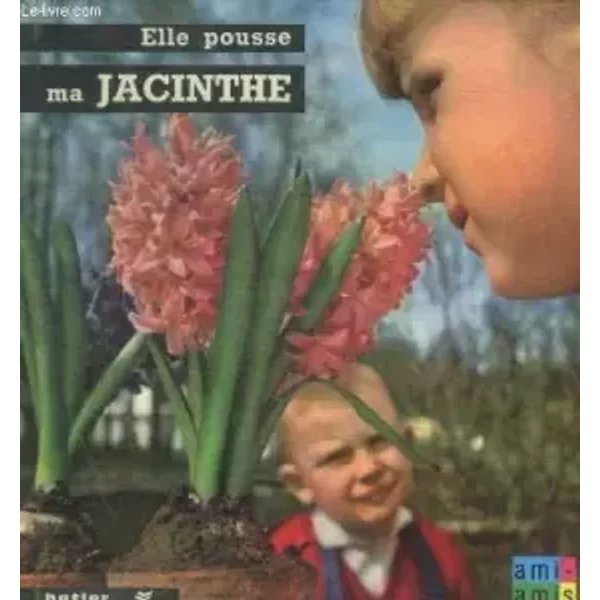 Elle Pousse Ma Jacinthe - Pajot Anne Marie-image