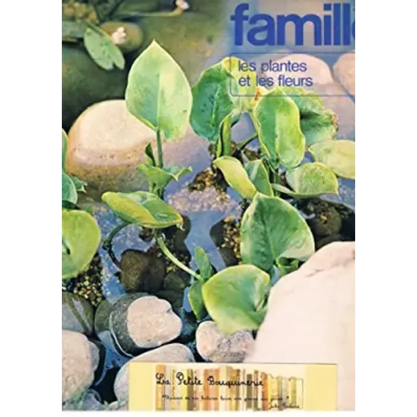 Famille 2000 : Les Plantes Et Les Fleurs - Collectif-image