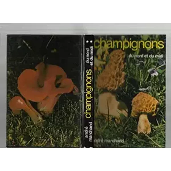 Champignons du nord et du midi tome 2 seul - les meilleurs comestibles - Marchand André
