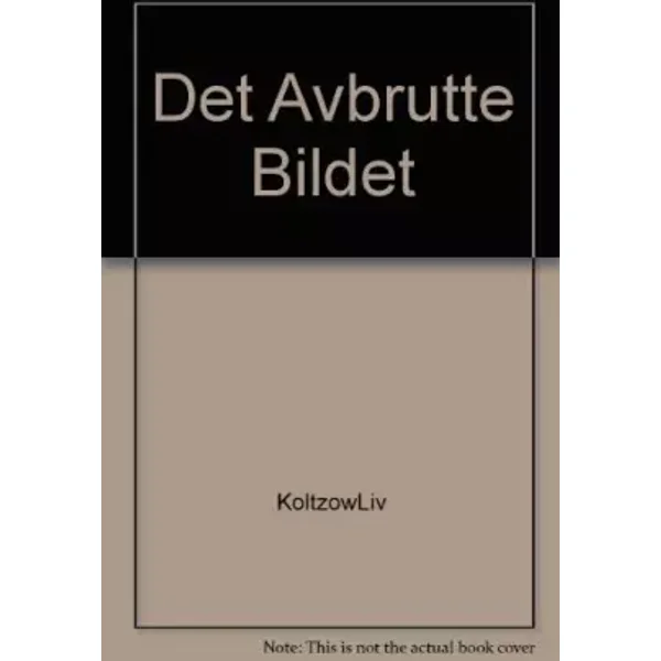 Det Avbrutte Bildet by Liv Kltzow (2002, Book): Roman - Liv Koltzow