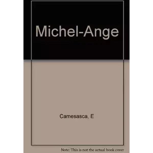 Tout l'oeuvre peint de Michel-Ange (Les classiques de l'art) - Ettore Camesasca, Károly Tolnay, Alain Veinstein