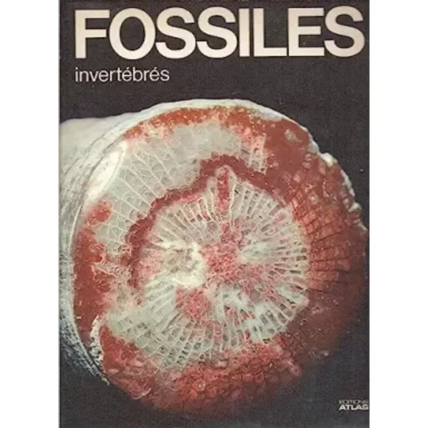 Les Fossiles InvertéBréS (La Nature Et Ses Merveilles) - Giovanni Pinna, Carlo Bevilacqua Et Edouard-Henri Lanterno-image