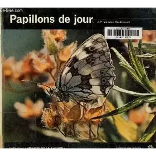Papillons de jour - Vanden Eeckhoudt Jean-Pierre