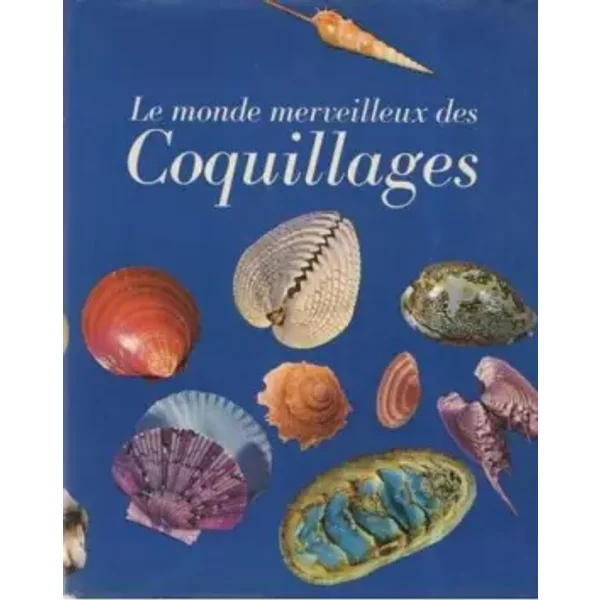 Le Monde Merveilleux Des Coquillages-image