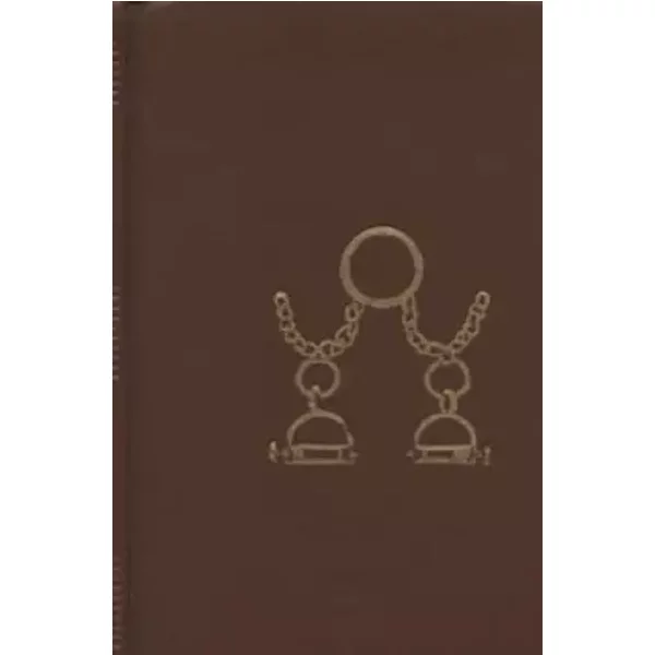 De Grandes EspéRances - Tome 1 - Charles Dickens, C.-M. Grosjean-image