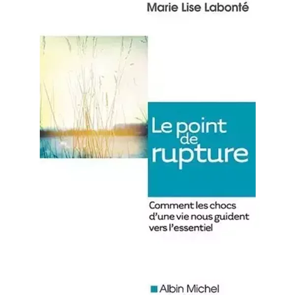 Le point de rupture : Comment les chocs d'une vie nous guident vers l'essentiel de Labonté. Marie-Lise (2009) Broché