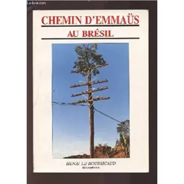 Chemin D'emmaus Au Bresil. - Le Boursicaud Henri-image